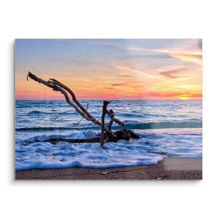 Wandbild mit Treibholz am Strand, Sonnenuntergang, sanfte Meereswellen, Acrylglas