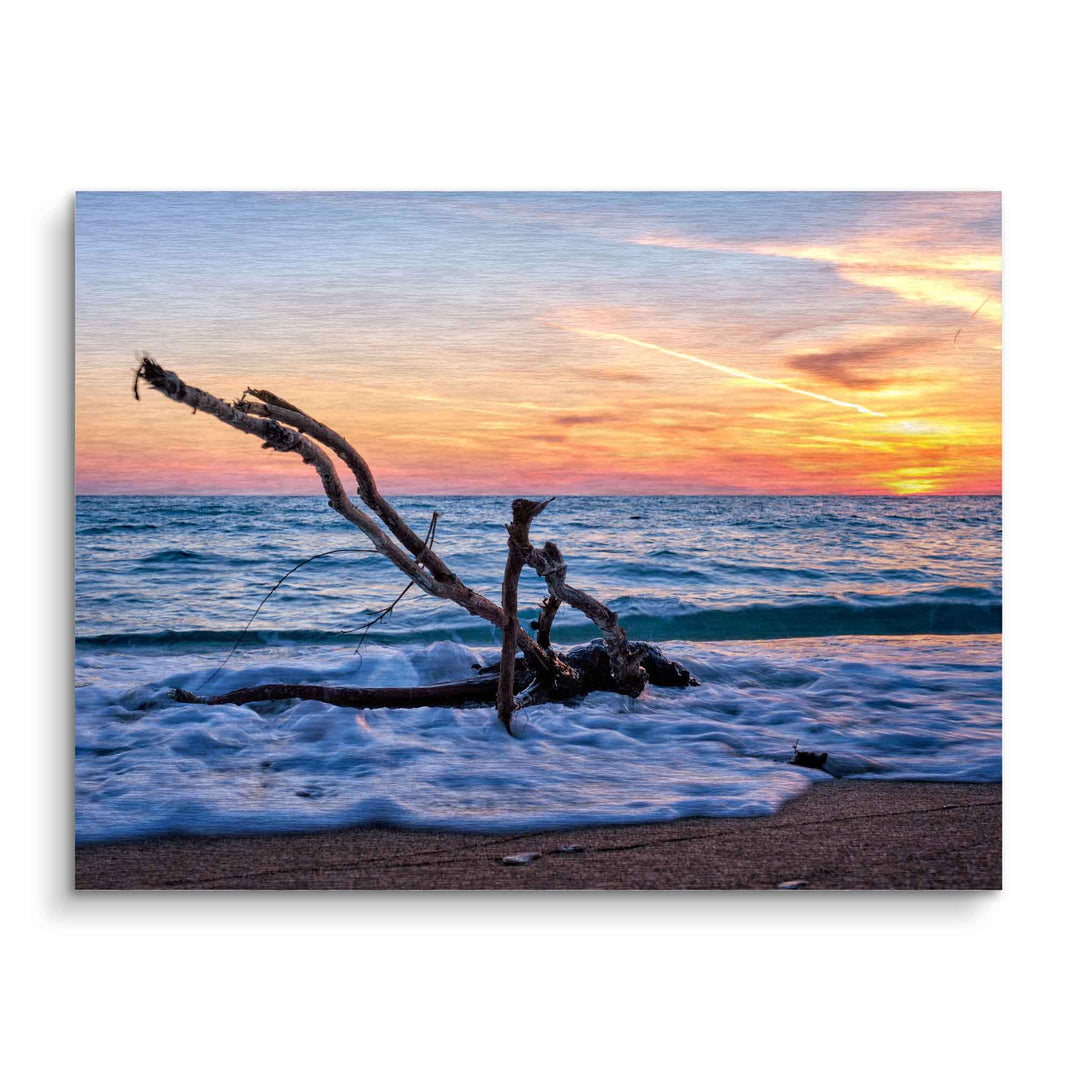 Wandbild mit Treibholz am Strand im Sonnenuntergang, Meer und Wellenkunst