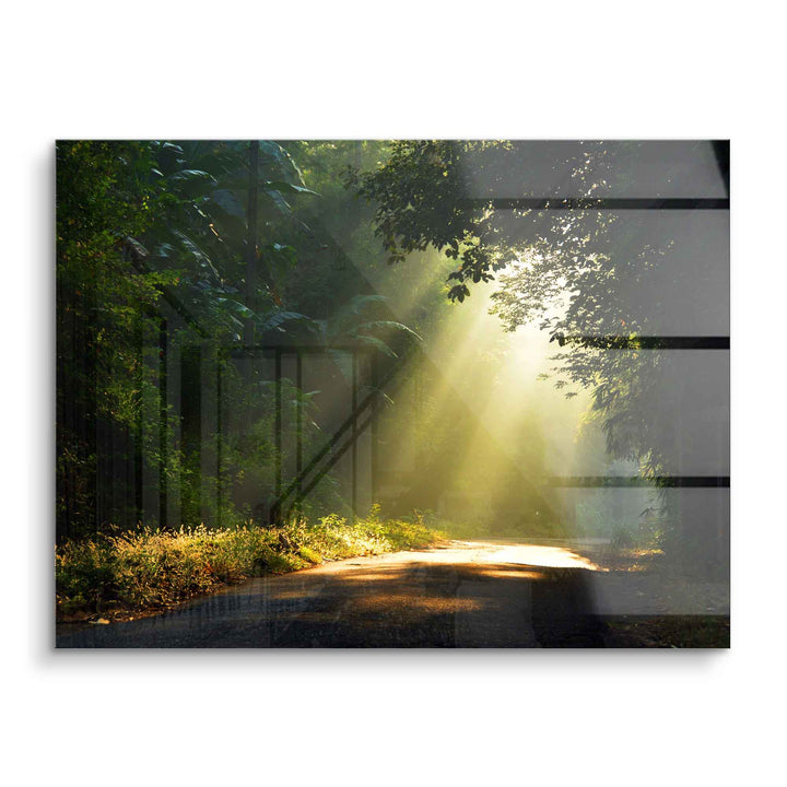 Wandbild Waldweg mit Sonnenstrahlen im Nebel, Naturmotiv auf Acrylglas