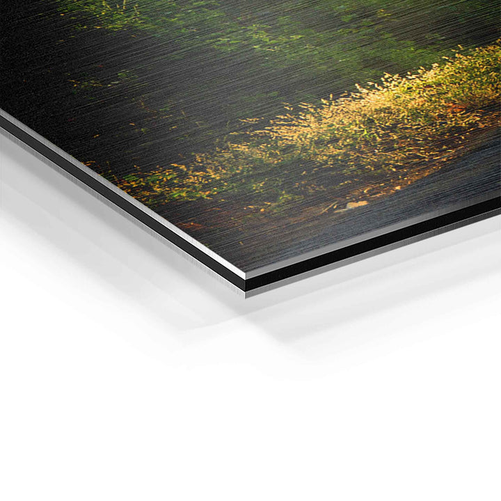 Detailaufnahme Wandbild Waldweg mit Sonnenstrahlen im Nebel auf Aluminium