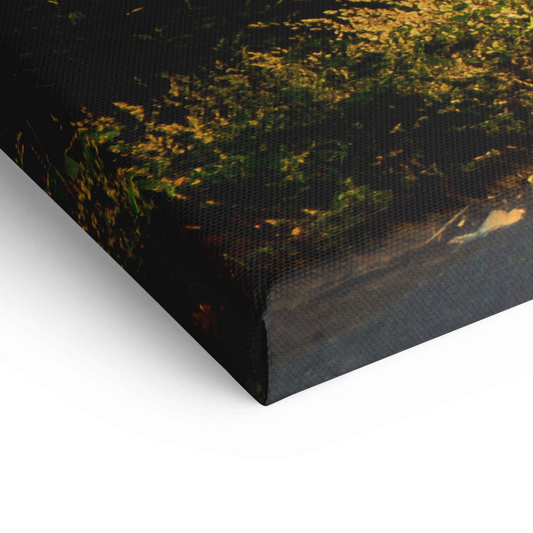 Detail Leinwandbild Waldweg mit Sonnenstrahlen im Nebel, Natur Wandbild Kunst