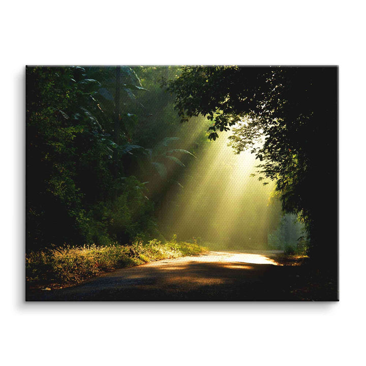 Waldweg im Nebel mit Sonnenstrahlen, stimmungsvolles Natur Wandbild auf Leinwand