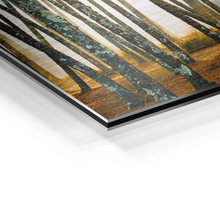 Detailansicht eines Wandbilds mit Sonnenstrahlen zwischen Baumstämmen auf Aluminium