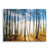 Shining woods