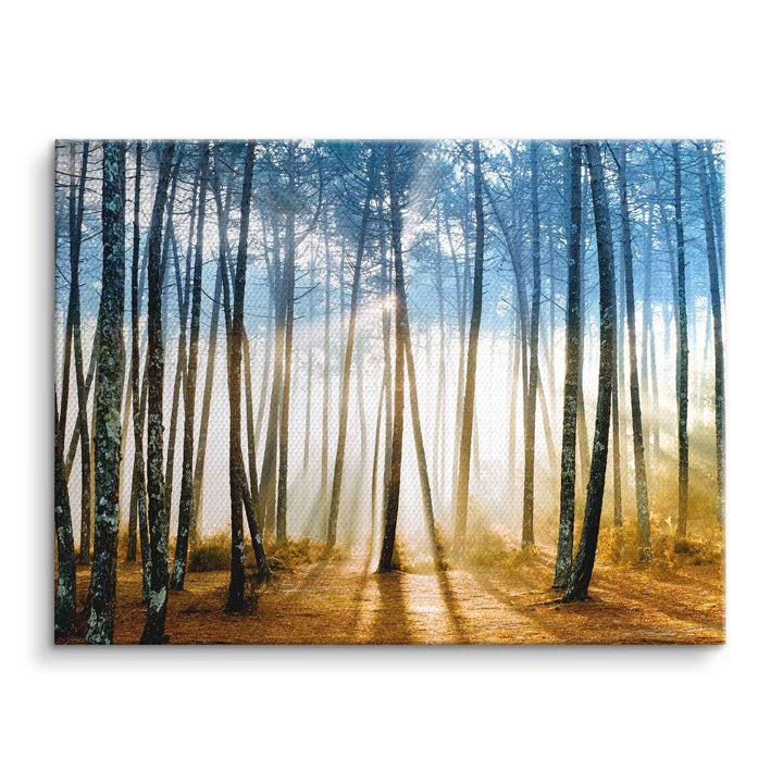 Wandbild mit Sonnenstrahlen im nebligen Wald, Bäume und goldener Waldboden