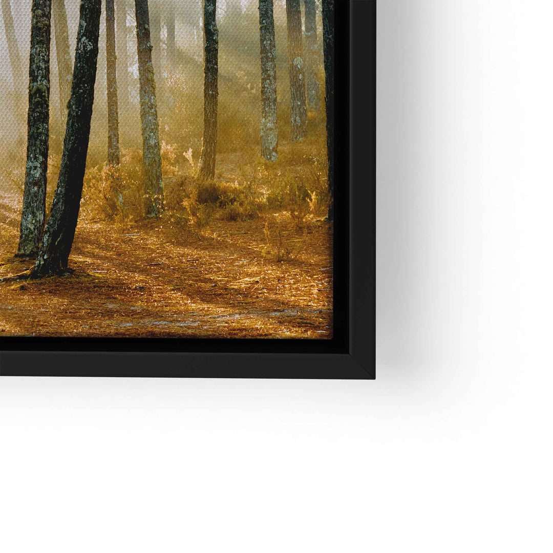 Leinwandbild Wald mit Sonnenstrahlen zwischen Baumstämmen, Naturmotiv, braune Töne