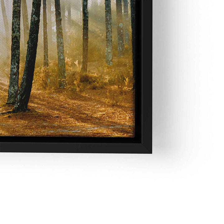 Leinwandbild Wald mit Sonnenstrahlen zwischen Baumstämmen, Naturmotiv, braune Töne