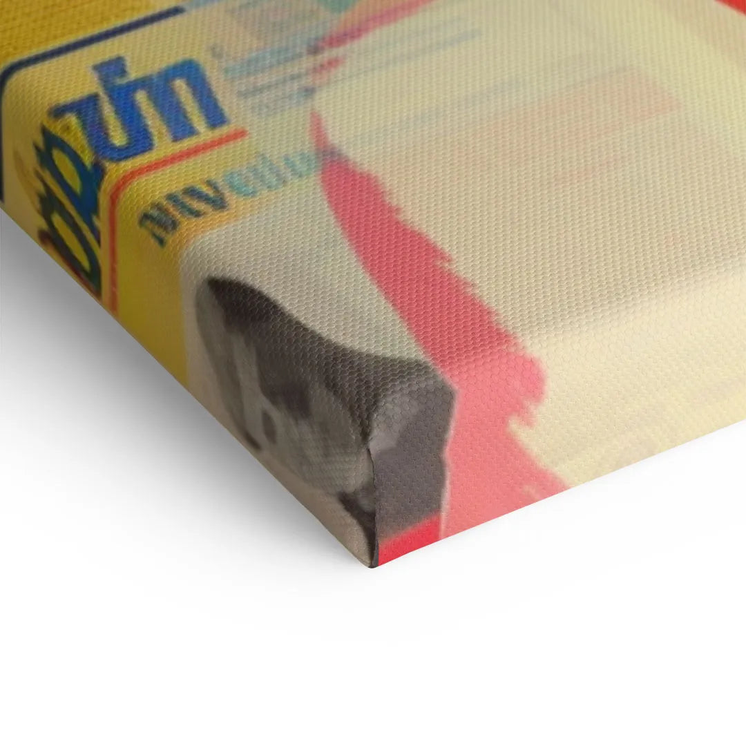 Detailansicht eines bunten Zeitungskunst-Wandbilds auf Leinwand mit Text und Katzenmotiv