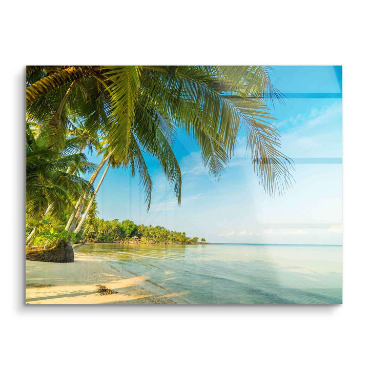 Wandbild mit tropischem Strand, Palmen und ruhigem Meer unter blauem Himmel