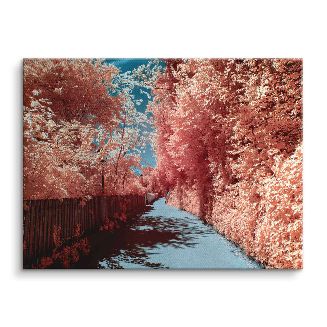 Infrared Road