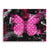 Schmetterling - Rosa Edition