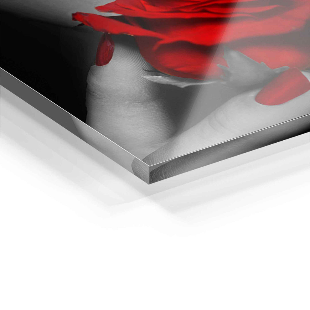 Detailfoto Wandbild Acrylglas, rote Rose und rote Fingernägel auf schwarz-weißem Hintergrund