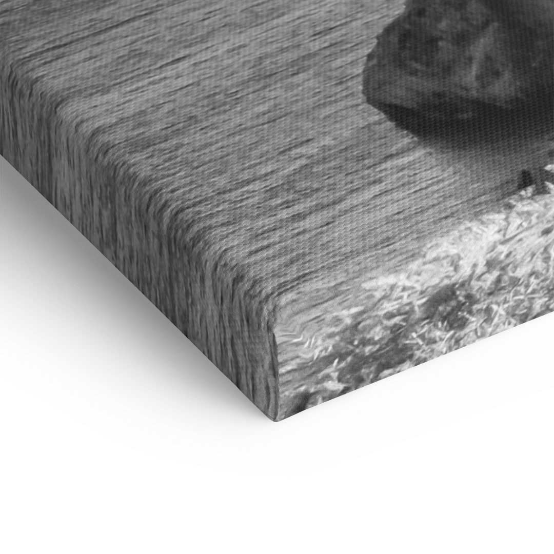Detailaufnahme einer hochwertigen Leinwand mit strukturiertem Kunstdruck in Schwarzweiß