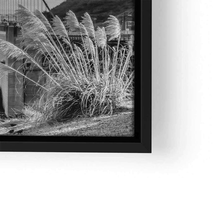 Schwarz-weiß Wandbild mit Golden Gate Bridge und Ziergras im Vordergrund, moderner Kunstdruck.