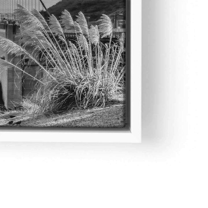 Schwarz-weiß Wandbild mit Golden Gate Bridge und Ziergras, moderner Kunstdruck