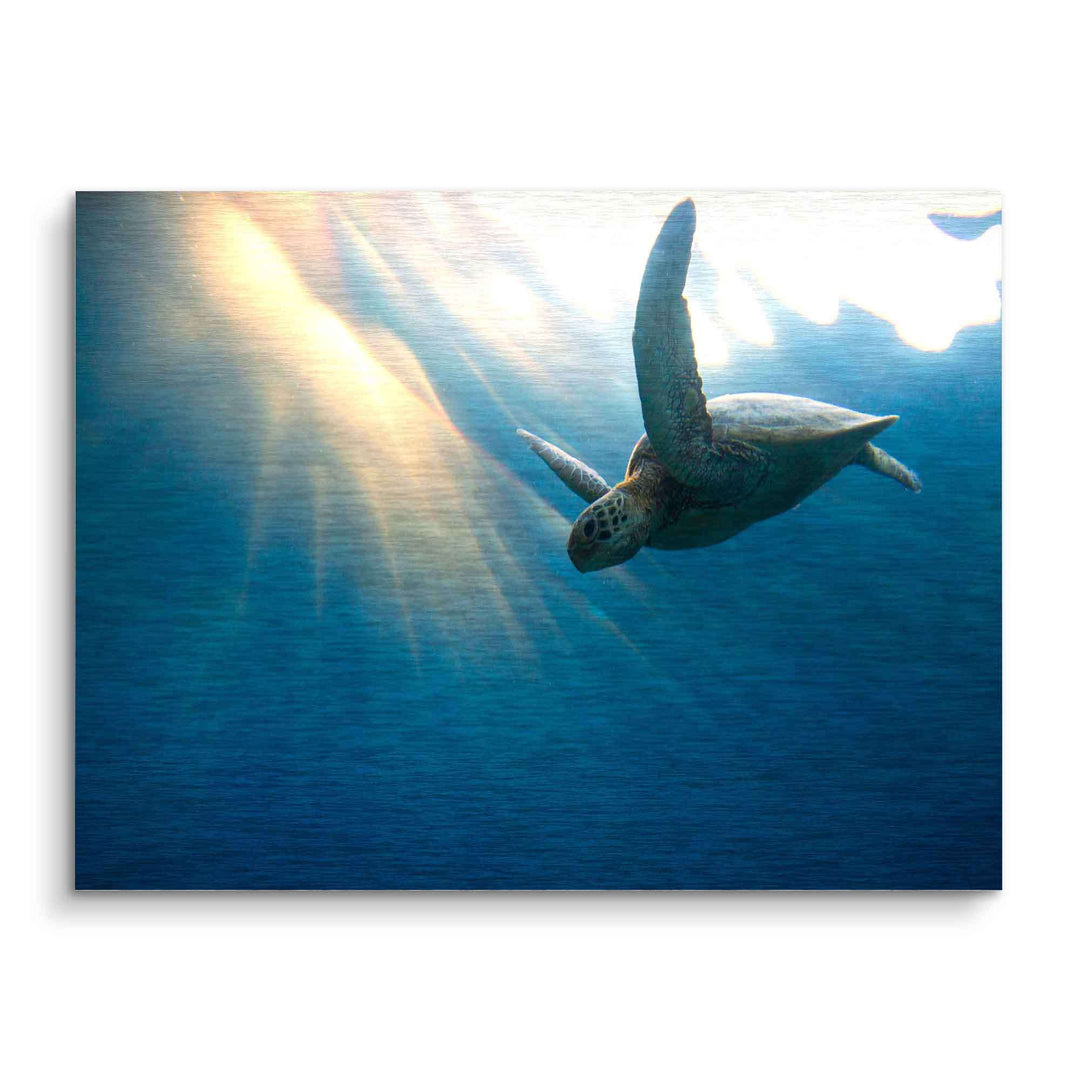 Wandbild mit Meeresschildkröte unter Wasser, Sonnenstrahlen im blauen Ozean