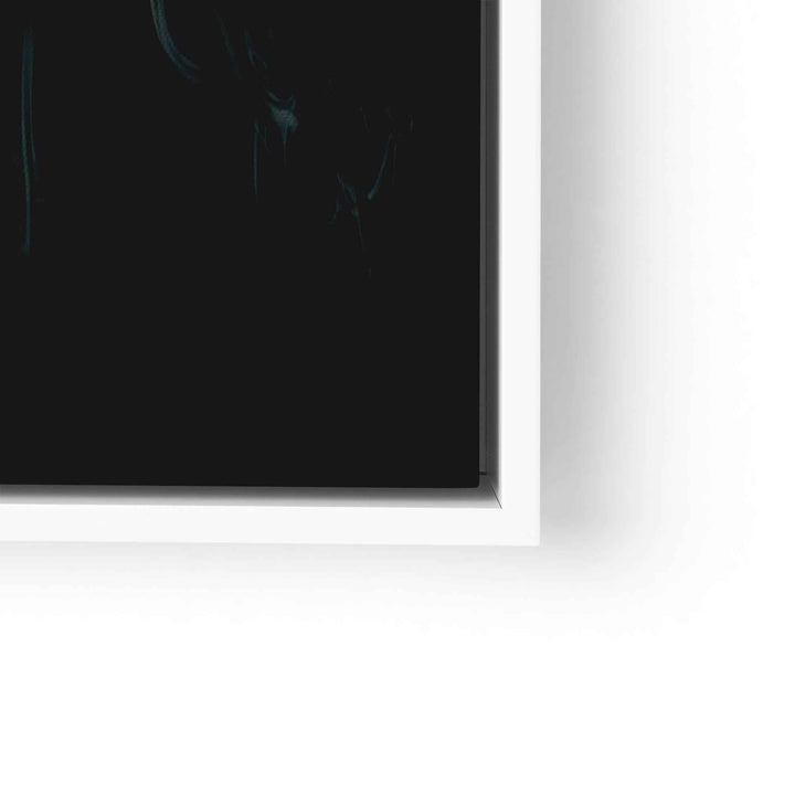 Shadow III