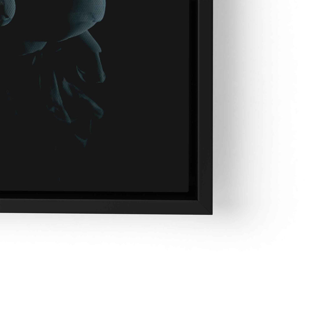 Shadow I