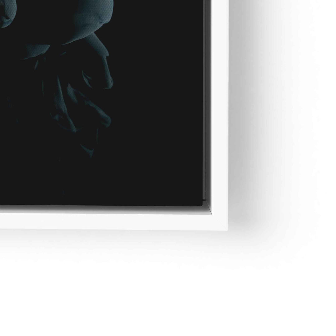 Shadow I