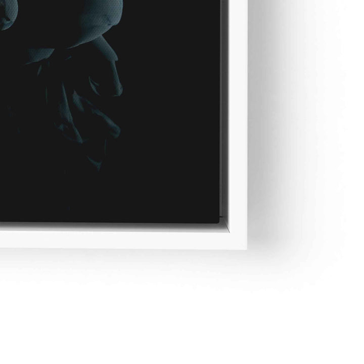 Shadow I