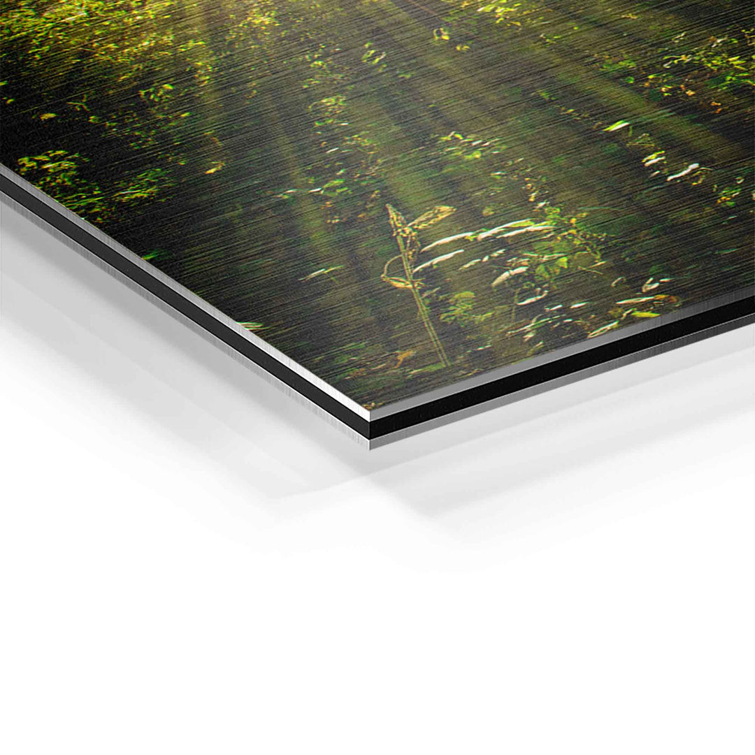 Detailansicht Wandbild Sonnenstrahlen durch grünen Wald auf gebürstetem Aluminium