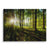 Sonnenstrahlen im Wald