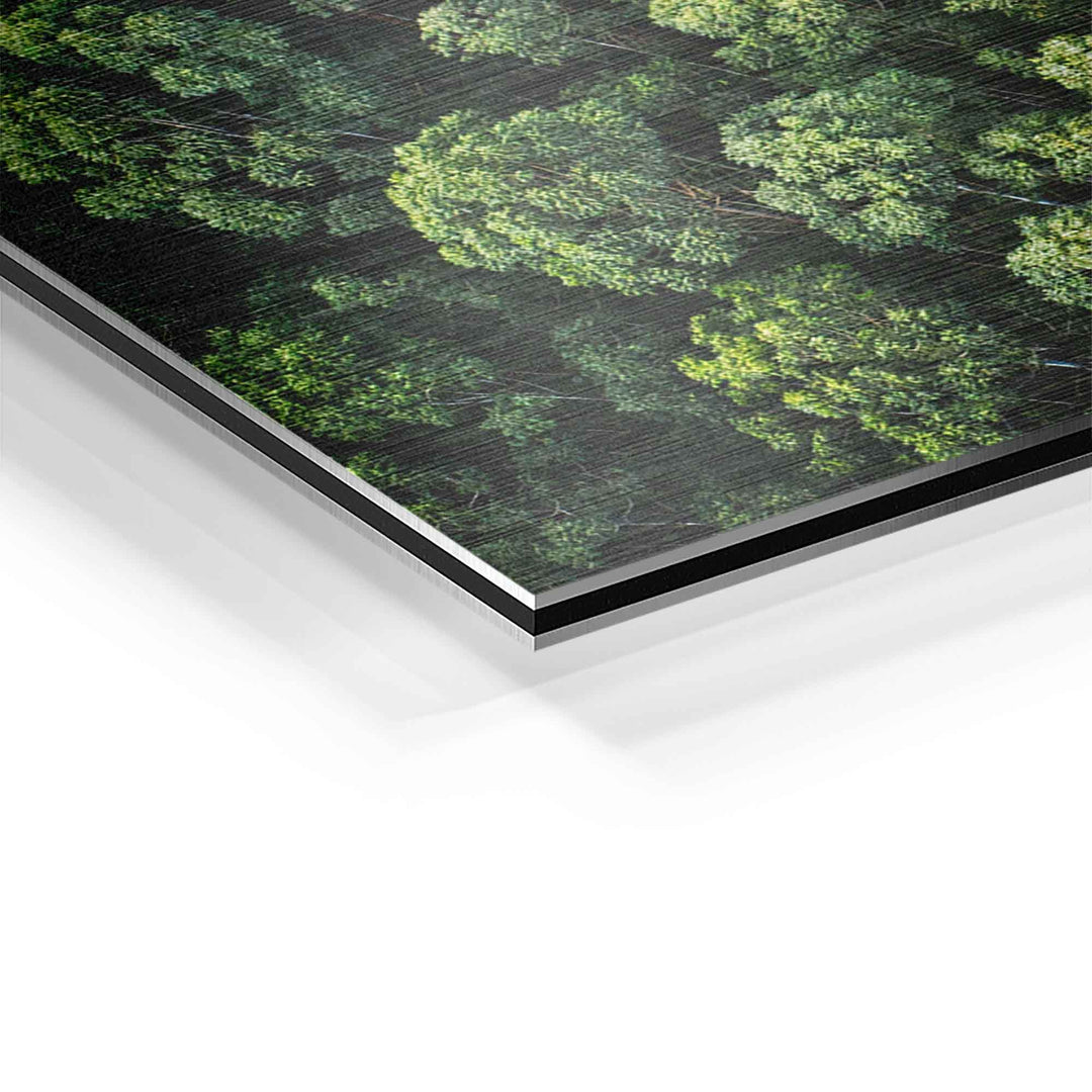 Detail eines Aluminium-Wandbilds mit Waldmotiv in grünen Tönen, Nahaufnahme Kante