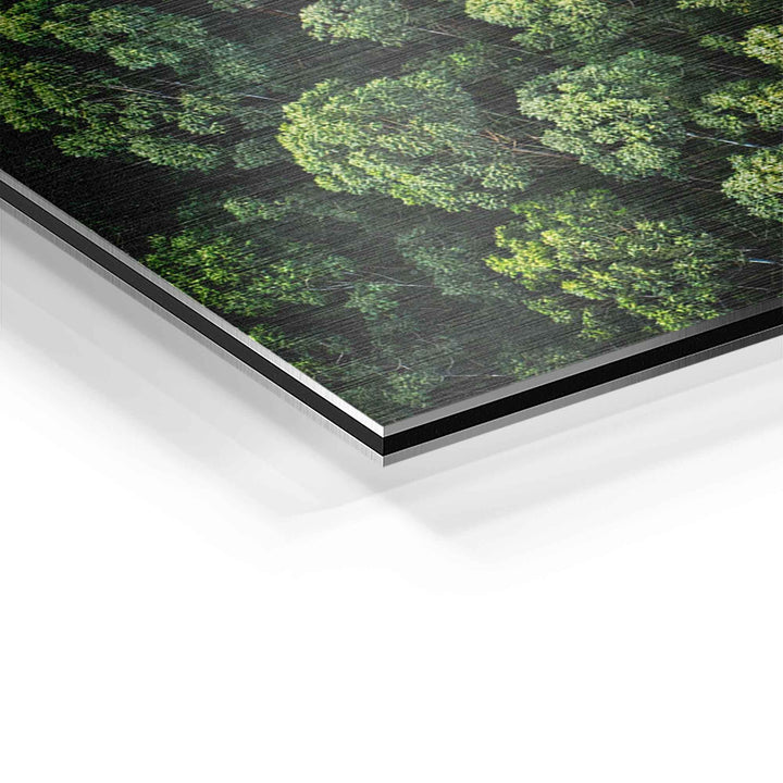 Detail eines Aluminium-Wandbilds mit Waldmotiv in grünen Tönen, Nahaufnahme Kante