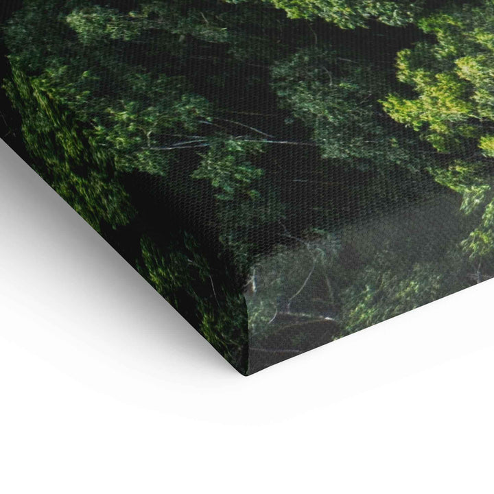 Detailaufnahme Leinwandbild mit grünem Waldmotiv in Nahansicht, Natur Wandbild