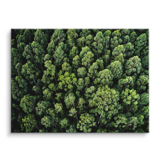 Wandbild Leinwand mit Luftaufnahme eines grünen Waldes, Naturmotiv, moderne Wanddekoration