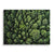 Top View Forest