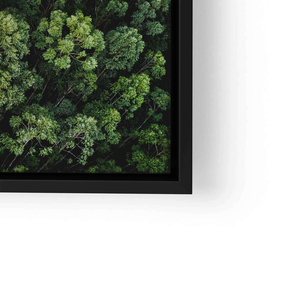 Leinwandbild mit Luftbild von grünen Baumwipfeln im Wald, moderner schwarzer Rahmen
