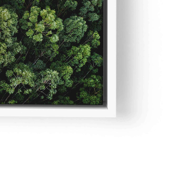 Wandbild mit Drohnenaufnahme von dichtem grünen Wald aus der Vogelperspektive im weißen Rahmen