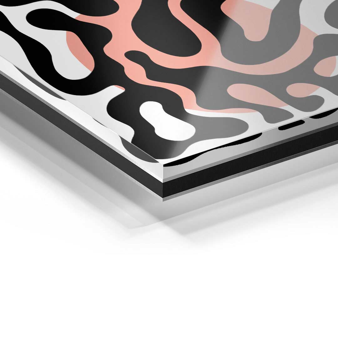 Detailaufnahme eines modernen Acrylglas-Wandbilds mit abstrakten, geschwungenen Formen in Schwarz, Weiß und Rosa.