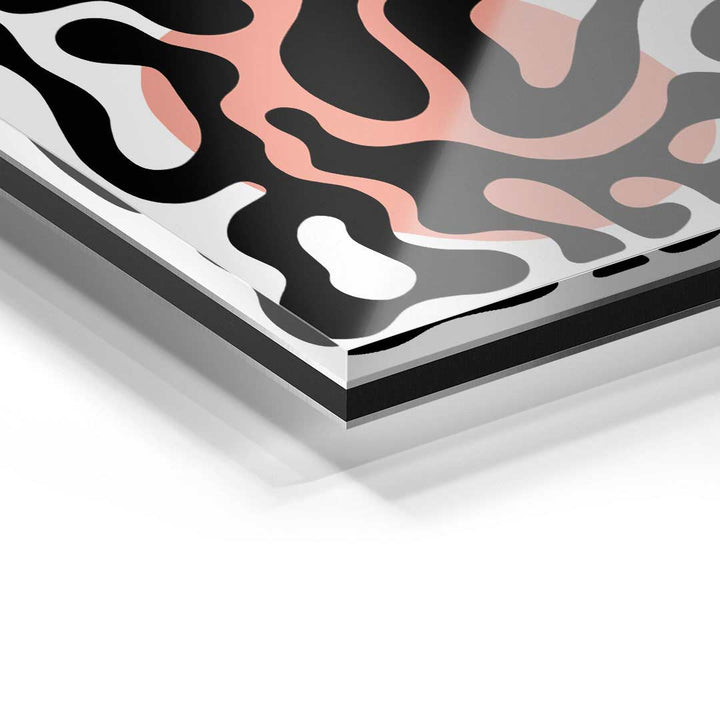 Detailaufnahme eines modernen Acrylglas-Wandbilds mit abstrakten, geschwungenen Formen in Schwarz, Weiß und Rosa.