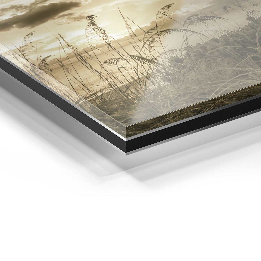 Detailansicht Acrylglas Wandbild mit Vintage Beach Motiv und Gräsern im Sonnenuntergang
