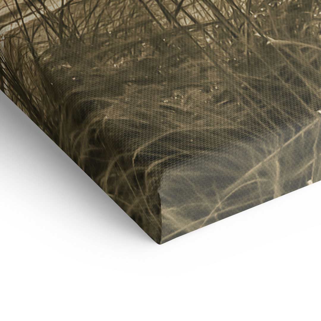 Detailansicht Leinwandbild Vintage mit Gräser-Motiv in Sepia-Ton, Wandbild modern
