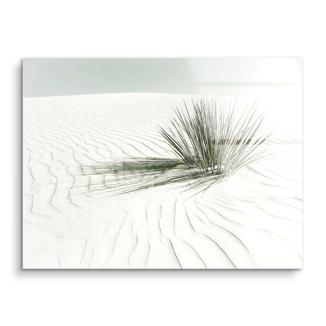 Minimalistisches Wandbild mit weißem Sand, feinen Dünenlinien und einer einzelnen Wüstenpflanze