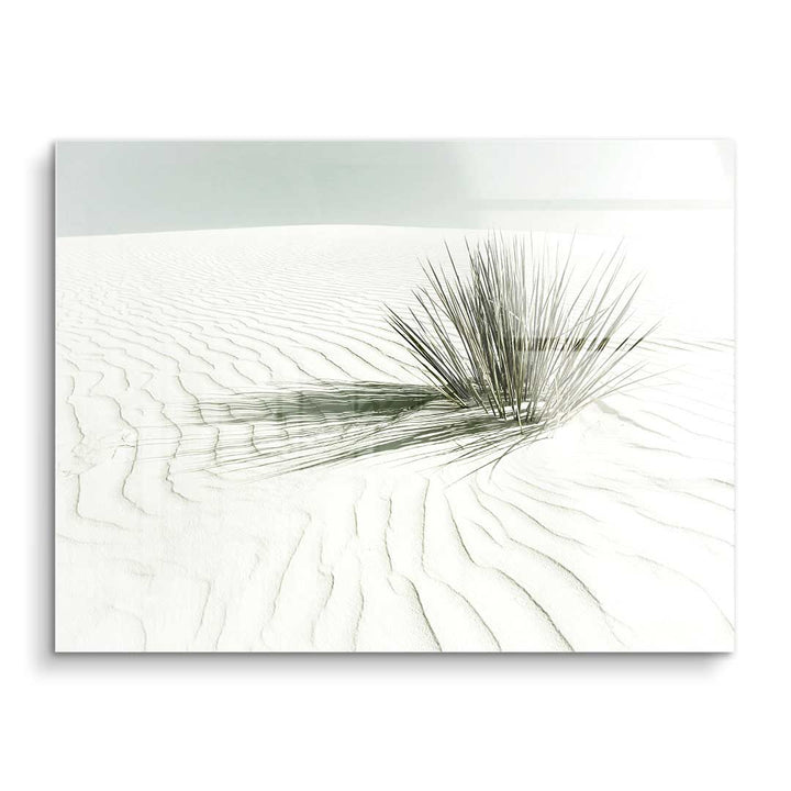Minimalistisches Wandbild mit weißem Sand, feinen Dünenlinien und einer einzelnen Wüstenpflanze