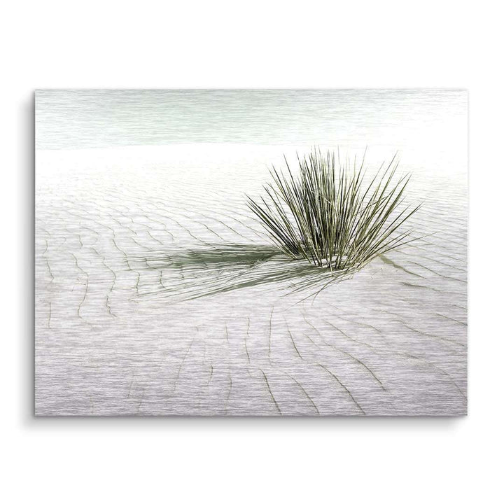 Wandbild mit Wüstenlandschaft, feiner Sand und einzelne Pflanze, minimalistische Kunst