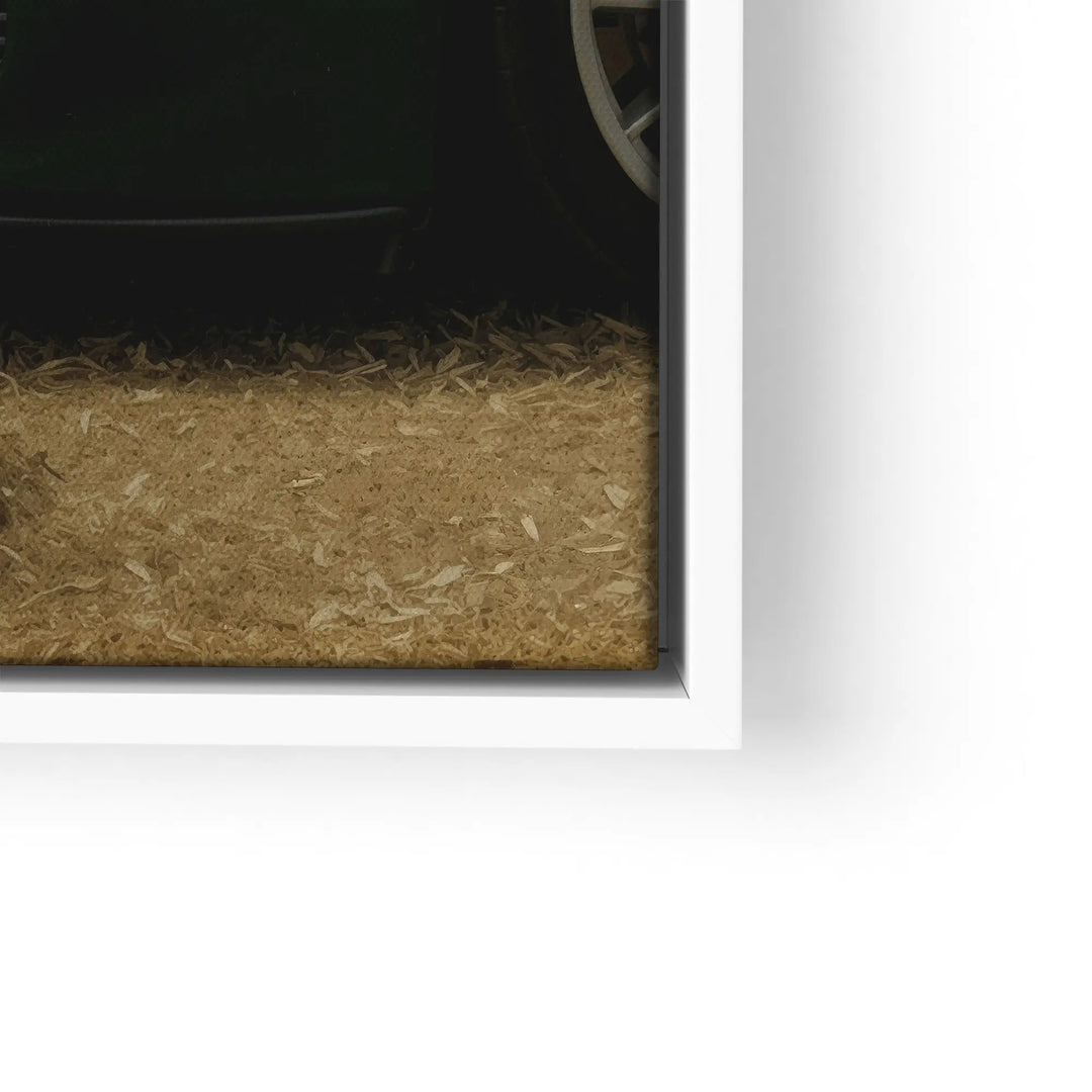 Luxury grazing