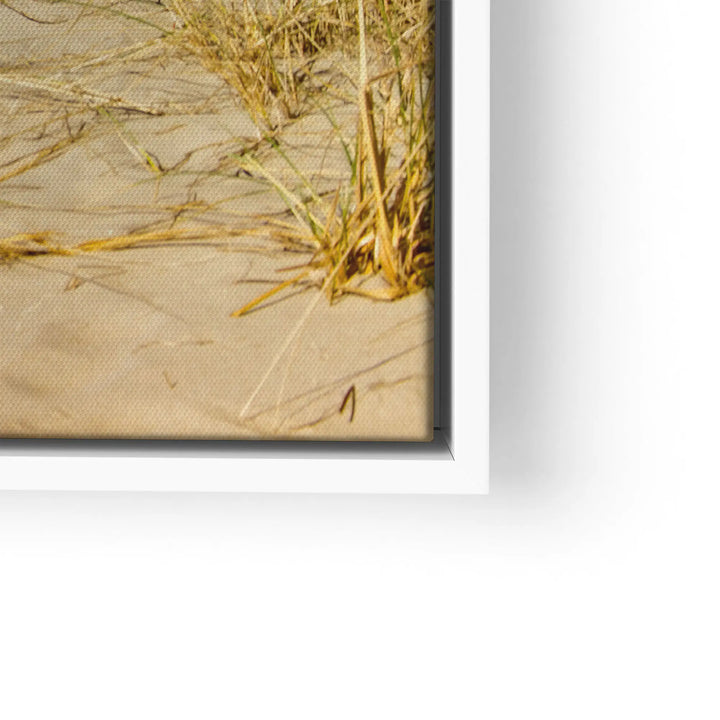 Dune Light