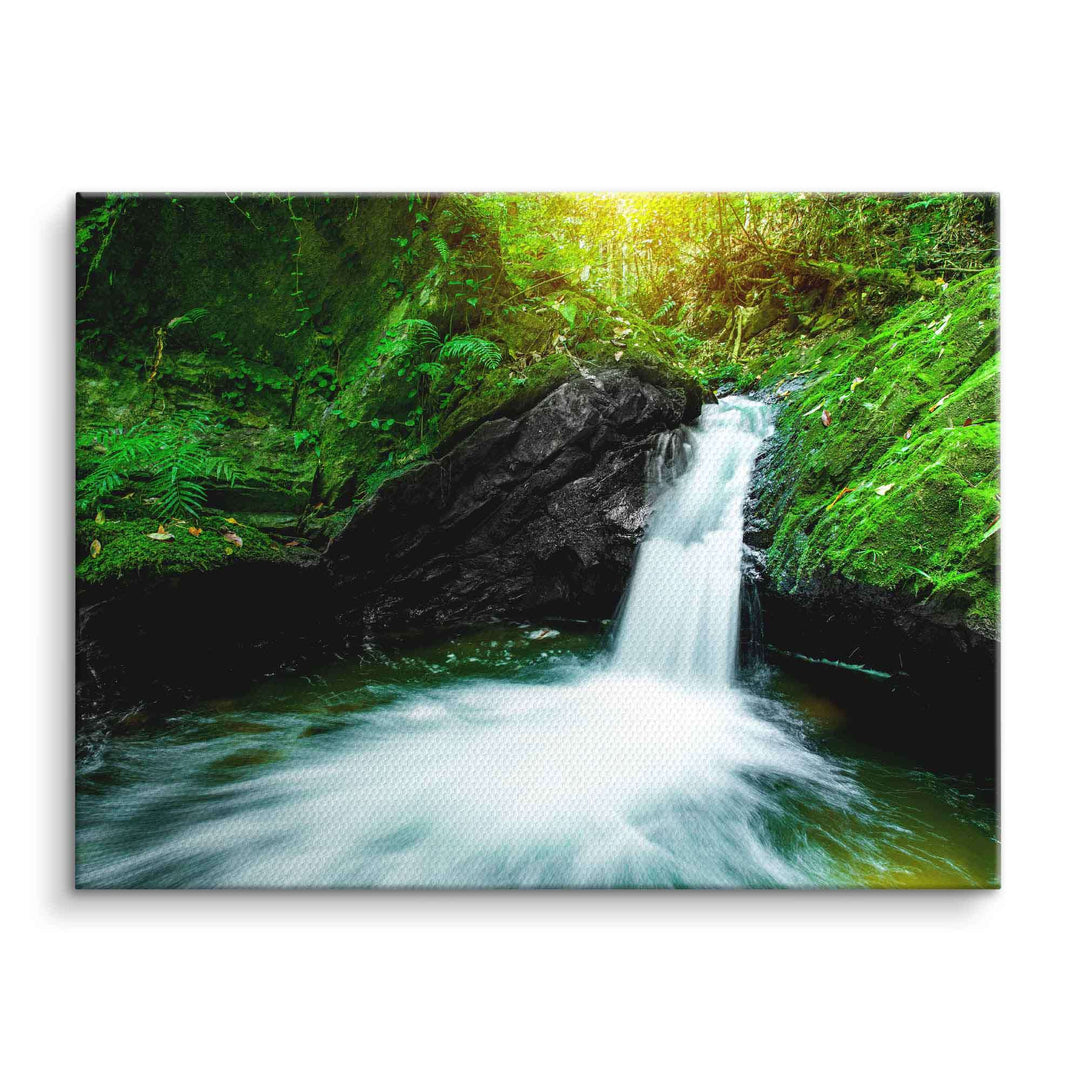 Wandbild kleiner Wasserfall im grünen Wald, Natur Leinwandbild, moderne Wanddeko