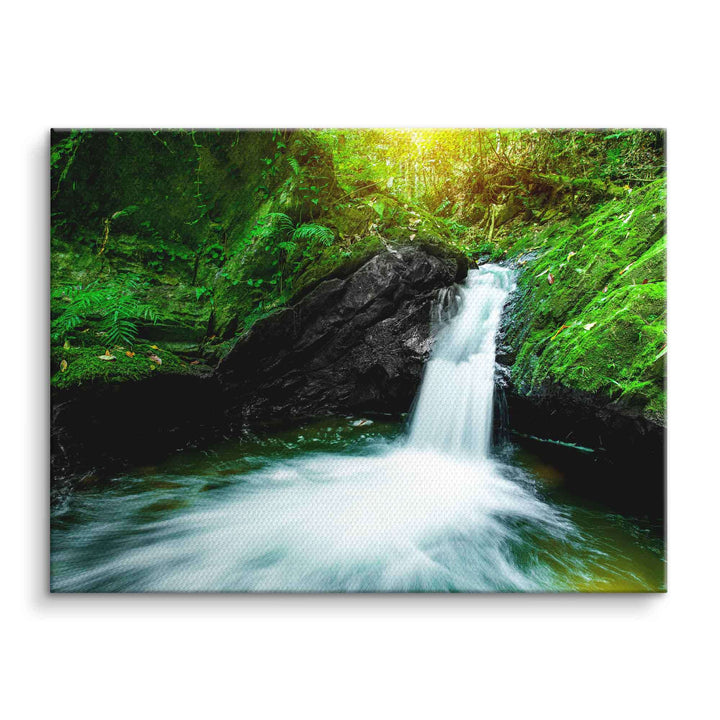 Wandbild kleiner Wasserfall im grünen Wald, Natur Leinwandbild, moderne Wanddeko