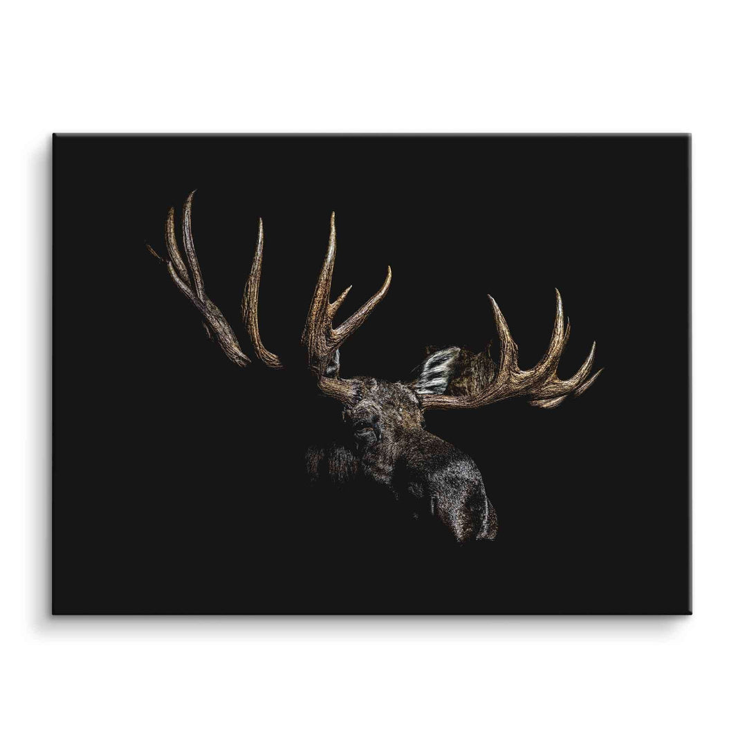 XXL Leinwandbild Elch mit imposantem Geweih auf schwarzem Hintergrund, modernes Wandbild Wildlife