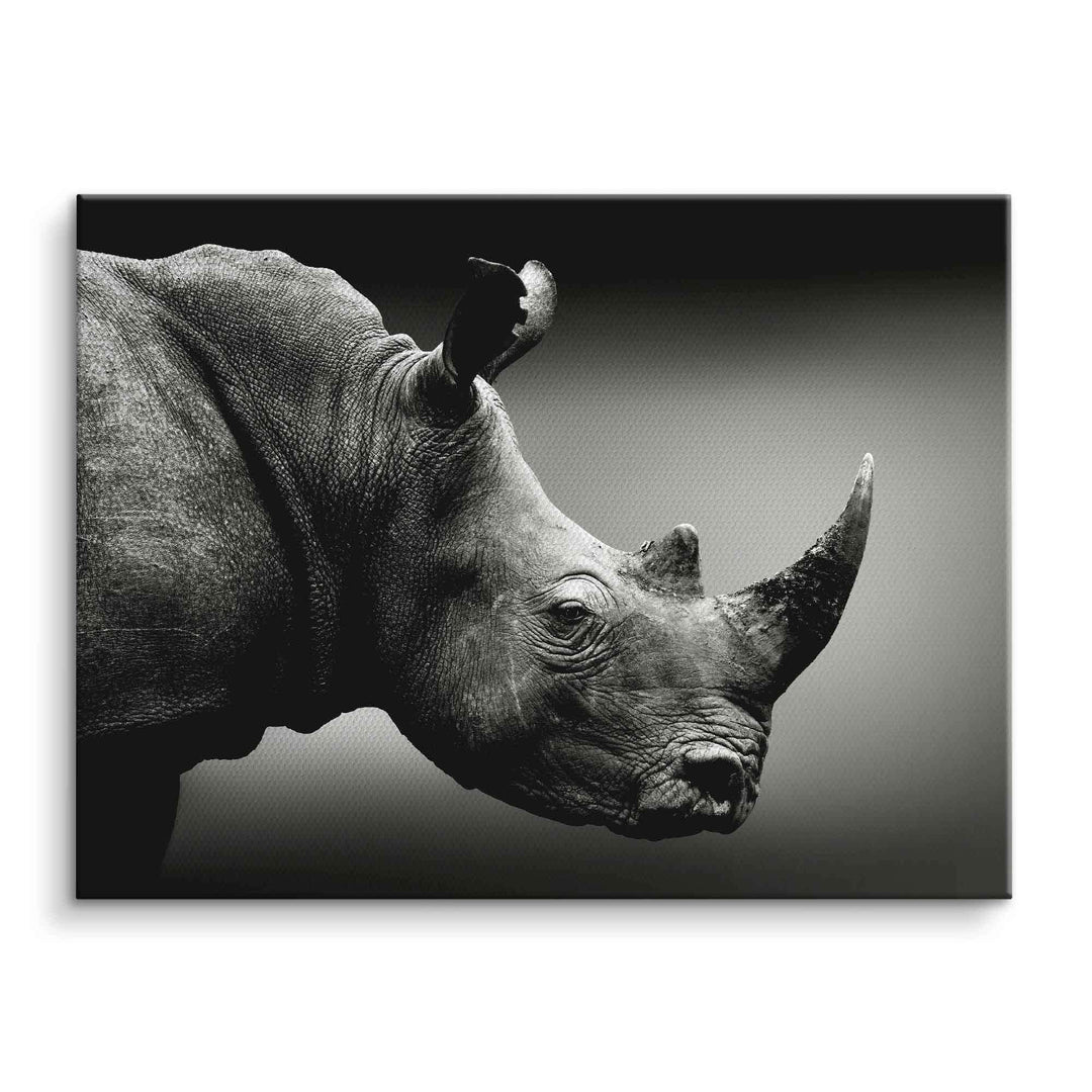 Schwarz-Weiß-Wandbild mit Nahaufnahme eines Nashorns als modernes Tiermotiv auf Leinwand
