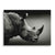 Rhino Portrait