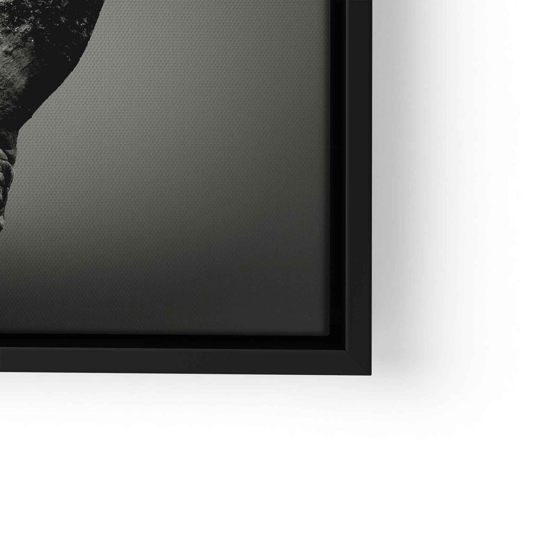 Schwarz-weiß XXL Wandbild mit Nashorn-Motiv im schwarzen Rahmen
