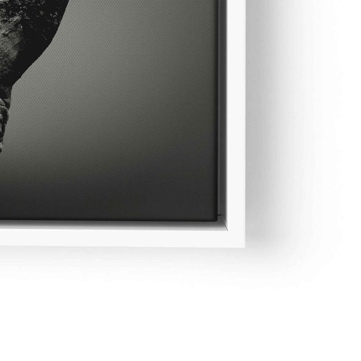 Modernes XXL Wandbild Nashorn in Schwarz-Weiß, detailreich, gerahmt, Kunstdruck